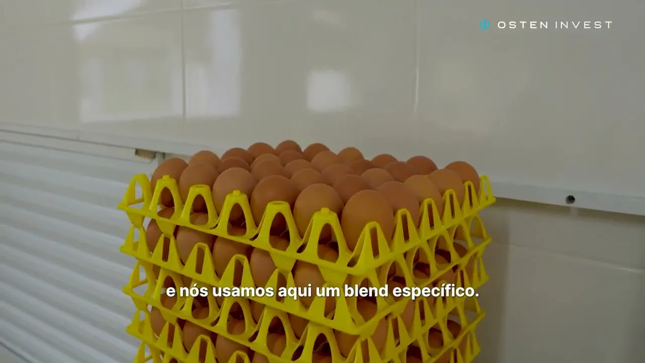 Turma do Ovo — Vídeo institucional